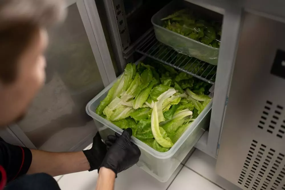 bao-quan-rau-cu-so-che-trong-tu-mat